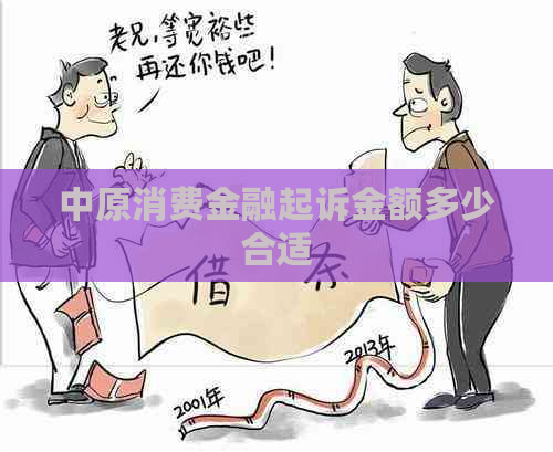 中原消费金融起诉金额多少合适