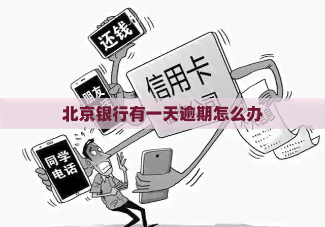 北京银行有一天逾期怎么办