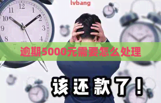 逾期5000元需要怎么处理