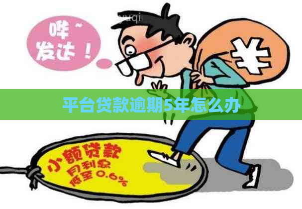 平台贷款逾期5年怎么办