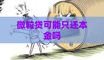 微粒贷可能只还本金吗 微粒贷可能只还本金吗