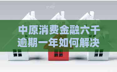 中原消费金融六千逾期一年如何解决