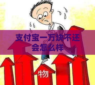 支付宝一万块不还会怎么样