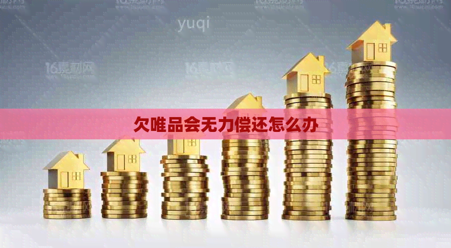 欠唯品会无力偿还怎么办