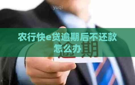 农行快e贷逾期后不还款怎么办