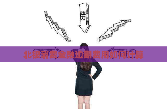 北银消费金融逾期费用如何计算