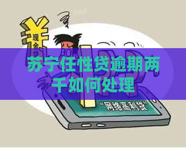 苏宁任性贷逾期两千如何处理