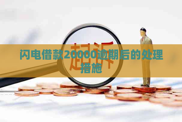 闪电借款20000逾期后的处理措施