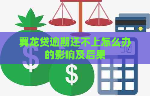 翼龙贷逾期还不上怎么办的影响及后果