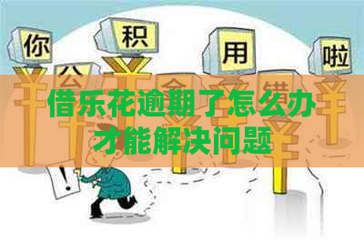 借乐花逾期了怎么办才能解决问题