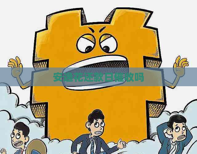 安逸花还款日吗