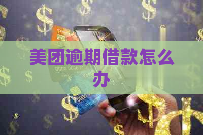 美团逾期借款怎么办