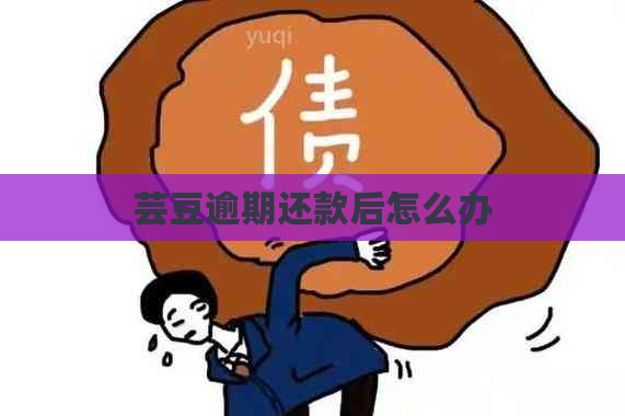 芸豆逾期还款后怎么办