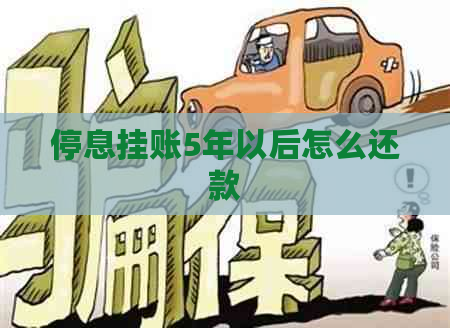 停息挂账5年以后怎么还款