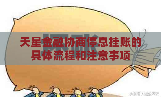 天星金融协商停息挂账的具体流程和注意事项