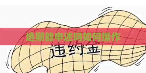逾期能申述吗如何操作
