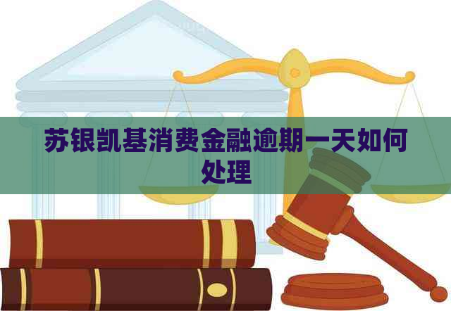 苏银凯基消费金融逾期一天如何处理