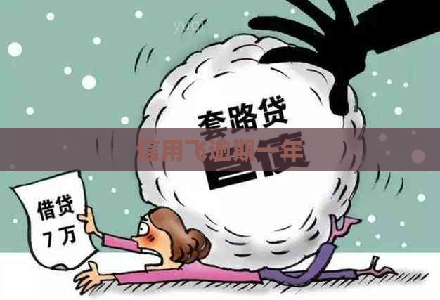 信用飞逾期一年