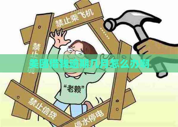 美团借钱逾期几月怎么办啊