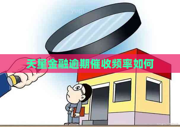 天星金融逾期频率如何