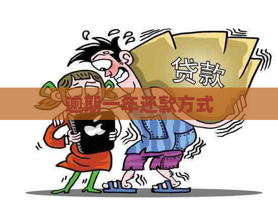 逾期一年还款方式