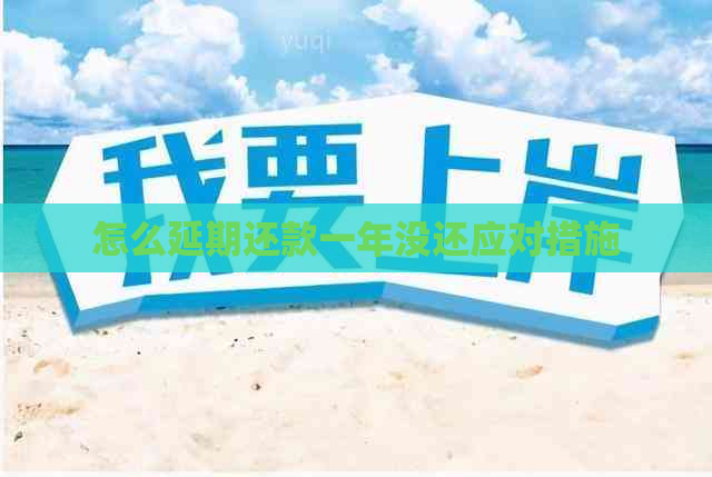 怎么延期还款一年没还应对措施