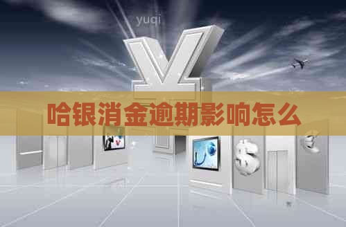 哈银消金逾期影响怎么
