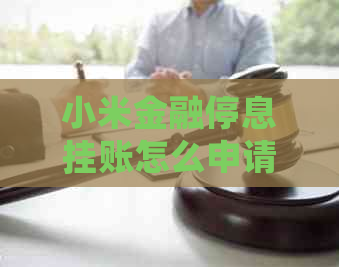 小米金融停息挂账怎么申请流程解析