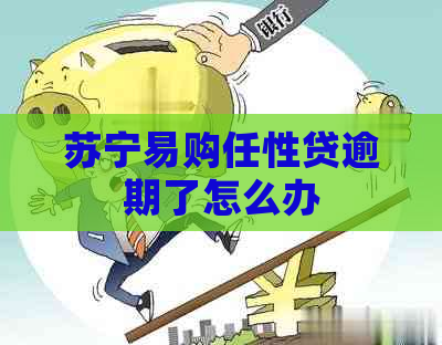 苏宁易购任性贷逾期了怎么办