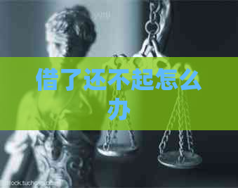 借了还不起怎么办