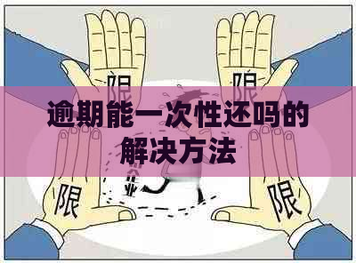 逾期能一次性还吗的解决方法