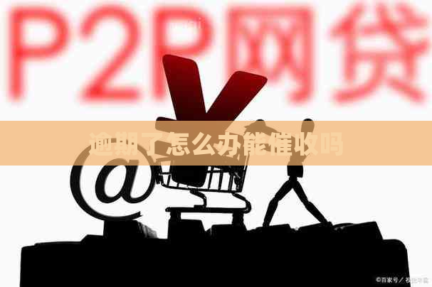 逾期了怎么办能吗