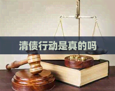 清债行动是真的吗