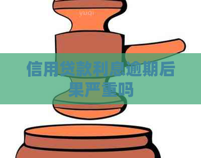 信用贷款利息逾期后果严重吗