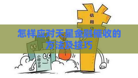 怎样应对天星金融的方法及技巧