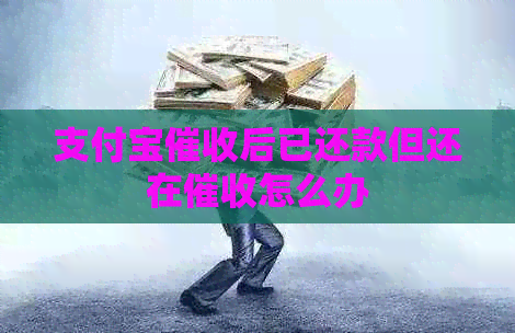 信用卡后已还款但还在怎么办