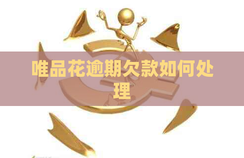 唯品花逾期欠款如何处理