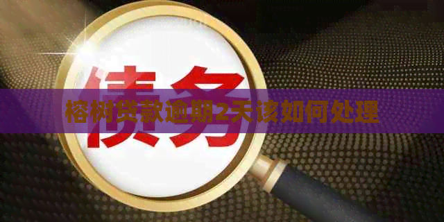 榕树贷款逾期2天该如何处理