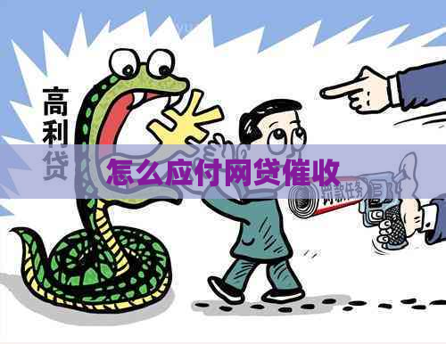 怎么应付网贷