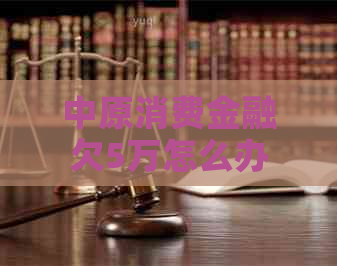 中原消费金融欠5万怎么办
