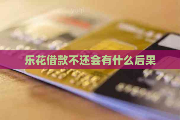 乐花借款不还会有什么后果