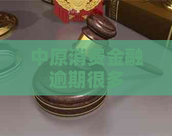 中原消费金融逾期很多