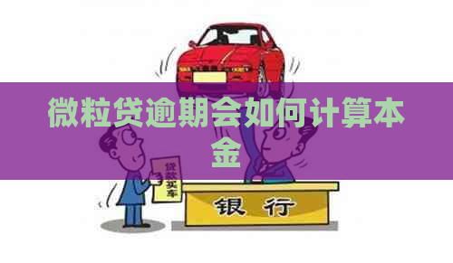 微粒贷逾期会如何计算本金