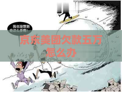 京东美团欠款五万怎么办