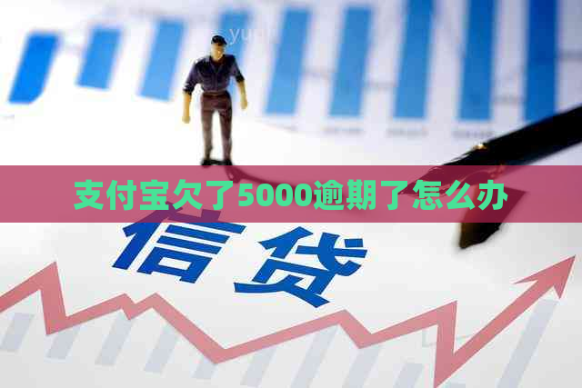 支付宝欠了5000逾期了怎么办