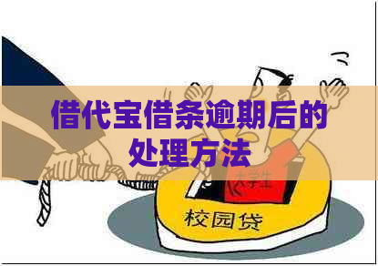 借代宝借条逾期后的处理方法