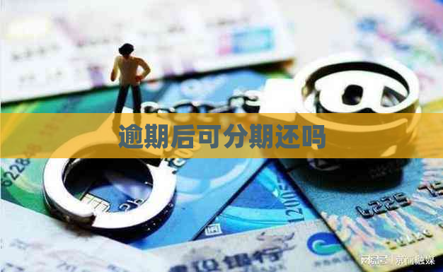 逾期后可分期还吗