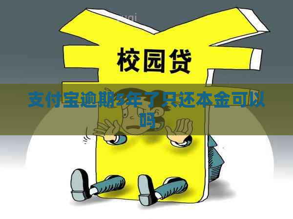 支付宝逾期5年了只还本金可以吗