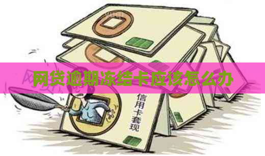 网贷逾期冻结卡应该怎么办