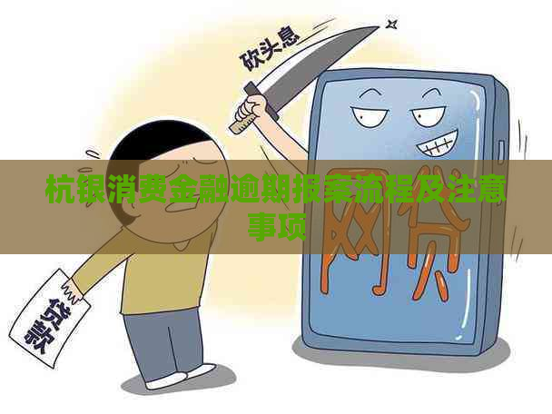 杭银消费金融逾期报案流程及注意事项